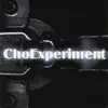 Choexperiment - Choexperiment